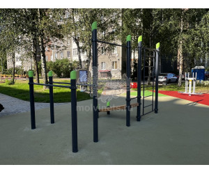 006516 - Воркаут-комплекс с турником, брусьями, шведской стенкой и наклонной скамьей для пресса